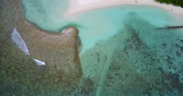 해안선의 꼭대기에는 파도가 카리브해 바하마의 — 비디오