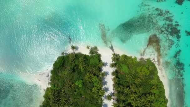 Czysta Turkusowa Wyspa Brzegowa Egzotyczna Podróż Barbados Karaiby — Wideo stockowe