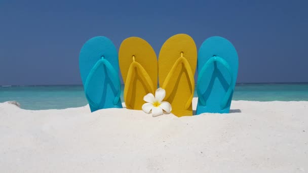 Yellow Blue Flip Flops Flower Beach Nature Dominican Republic Caribbean — Stock Video