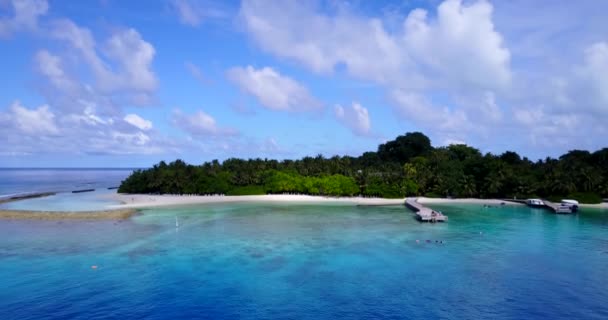 Patrząc Brzeg Wyspy Zielonymi Palmami Letni Relaks Bora Bora Polinezja — Wideo stockowe