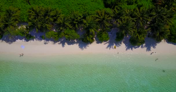 Górny Widok Wybrzeże Turyści Plaży Letnia Sceneria Malediwów — Wideo stockowe