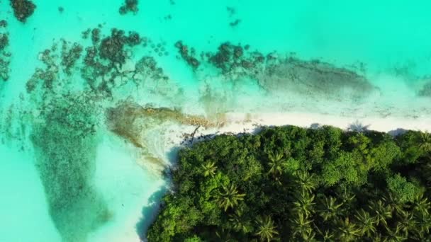 Сцены Северного Побережья Ямайки Карибского Моря Вид Сверху Коралловые Рифы — стоковое видео