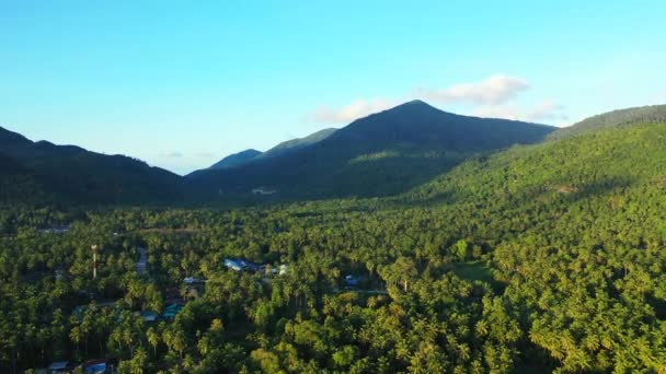 Montagnes Vertes Île Nature Tropicale Bali — Video