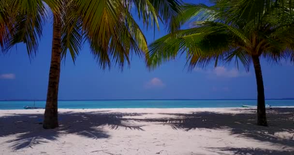 绿油油的棕榈树 绿油油的大海 白色的海滩 马尔代夫之行 — 图库视频影像