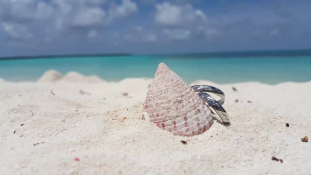 Zilveren Trouwringen Met Schelp Het Strand Landschap Van Australië Oceanië — Stockvideo