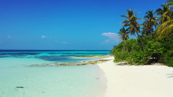 Tropische Kustlijn Met Groene Palmen Reis Naar Bora Bora Frans — Stockvideo