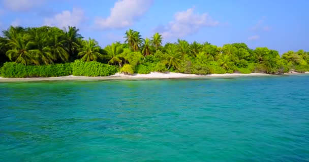 緑のヤシの海の風景 カリブ海のバルバドスへの旅行 — ストック動画