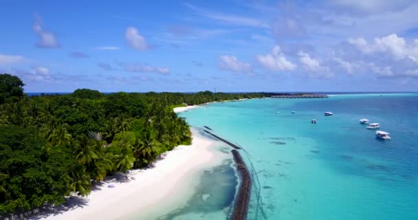 Jasne Turkusowe Morze Wzdłuż Wyspy Naturalna Scena Jamajce Karaiby — Wideo stockowe