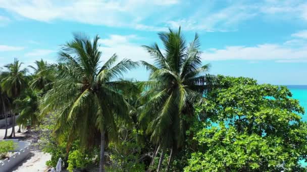 Аллея Зеленых Пальм Острове Экзотический Отдых Бали Индонезия — стоковое видео