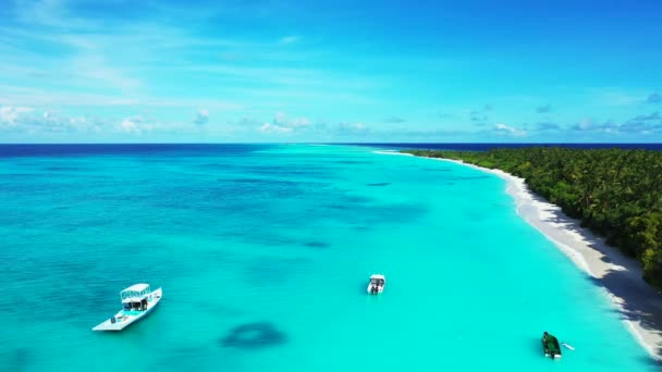 Exotisk Natur Bora Bora Franska Polynesien — Stockvideo