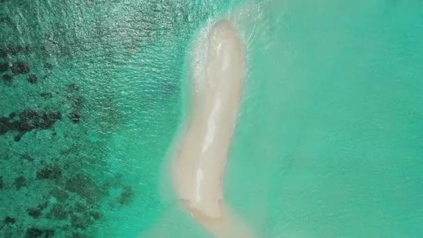 Plasture Nisip Mare Paradisul Verii Republica Dominicană Caraibe — Videoclip de stoc