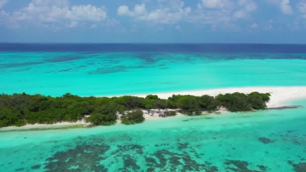 청록색 바다가 카리브해 바하마의 목가적 — 비디오