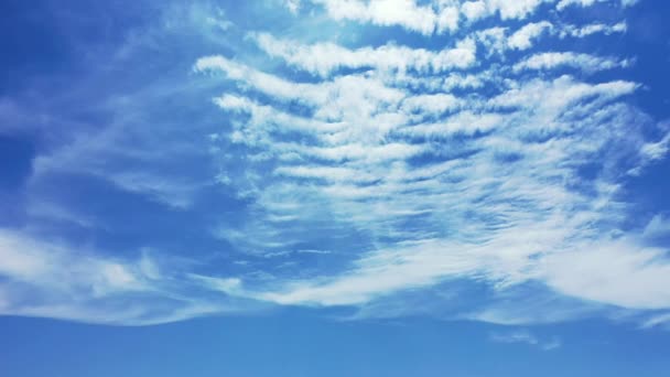 Olhando Para Céu Azul Com Nuvens Brancas Fofas Férias Exóticas — Vídeo de Stock