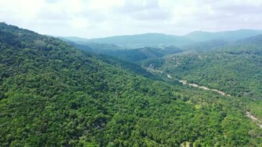 Yeşil ağaçlarla kaplı yüksek dağlar. Endonezya, Bali 'de tropikal tatilin tadını çıkarıyorum..