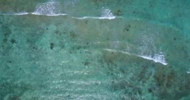 Sahilde uzun dalgalar var. Bora Bora 'da yaz tatili, Fransız Polinezyası.