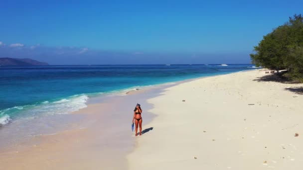 Donna Che Cammina Con Pinne Maschera Sulla Spiaggia — Video Stock