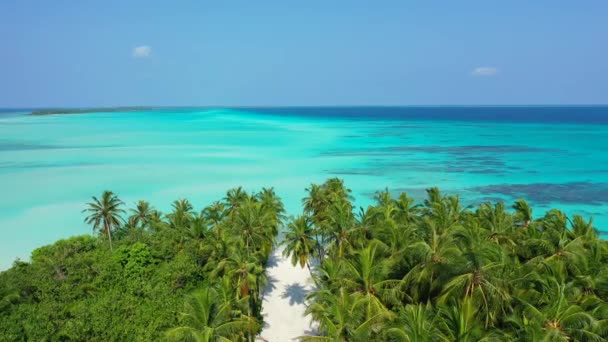 Callejón Palmeras Verdes Que Conduce Mar Relajación Verano Bora Bora — Vídeo de stock