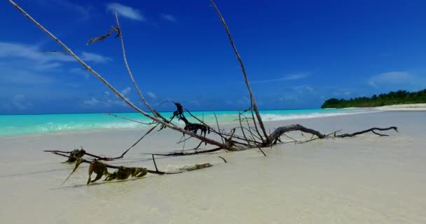 浅い海の水の近くのビュー ドミニカ共和国 カリブ海のエキゾチックな自然 — ストック動画