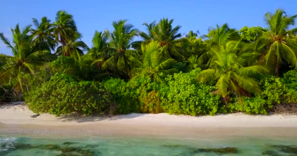 穏やかな昼間の海の景色 カリブ海のバルバドスへのエキゾチックな旅 — ストック動画