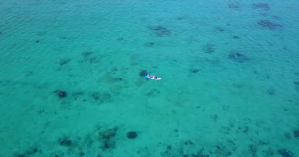 Gente Flotando Jabalíes Planos Mar Azul Vacaciones Verano Maldivas — Vídeos de Stock