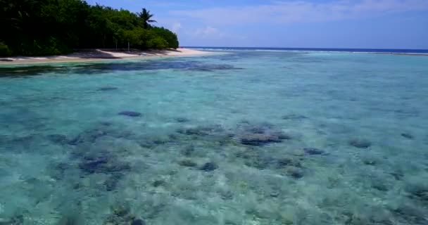 Krajobraz Wyspy Dzień Tropikalna Scena Przyrodnicza Jamajki Karaiby — Wideo stockowe