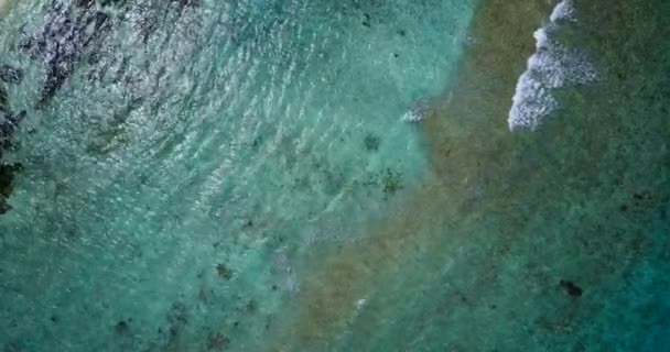 Kristal Dalgaların Görüntüsü Barbados Karayipler Tropik Cenneti — Stok video