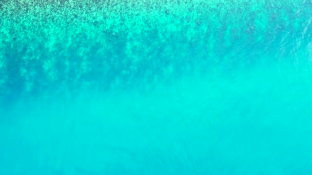 Природна Хвиляста Поверхня Морської Води Ідилічна Сцена Багамах Карибське Море — стокове відео