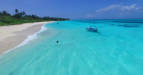 昼間は日当たりの良い海辺エリア ドミニカ共和国 カリブ海の夏の熱帯の風景 — ストック動画