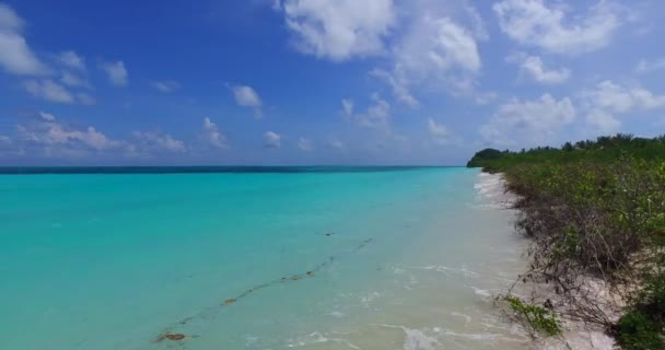 穏やかなターコイズブルーの海岸 インドネシアのバリの熱帯の楽園 — ストック動画