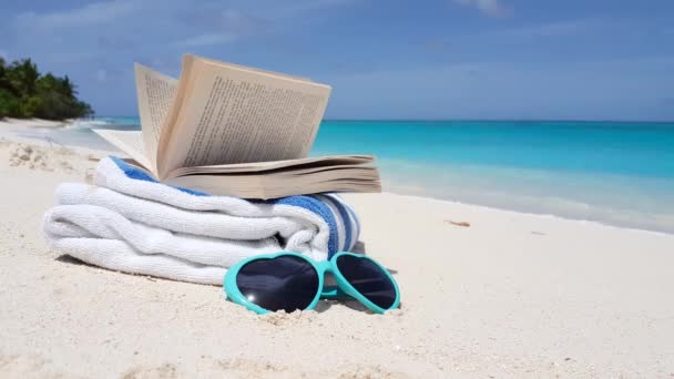 Γυαλιά Ηλίου Πετσέτα Και Ανοιχτό Βιβλίο Στην Παραλία Εξωτικό Ταξίδι — Αρχείο Βίντεο