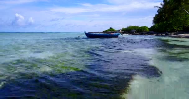 海岸线上有海藻和靠岸的船 前往巴巴多斯 加勒比 — 图库视频影像