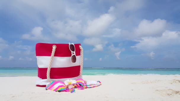 Gestreepte Rode Tas Met Zonnebril Plumeria Bloem Bikini Het Strand — Stockvideo
