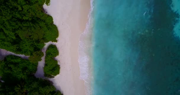 Vista Superior Costa Isla Relajación Verano Maldivas Asia Meridional — Vídeos de Stock