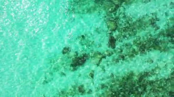 Natura Esotica Bora Bora Polinesia Francese — Video Stock