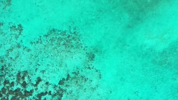 Летять Над Мілководною Зеленою Водою Природна Сцена Фіджі Океанія — стокове відео