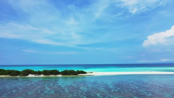 海の自然を背景に ボラのエキゾチックな自然 フランス領ポリネシア — ストック動画
