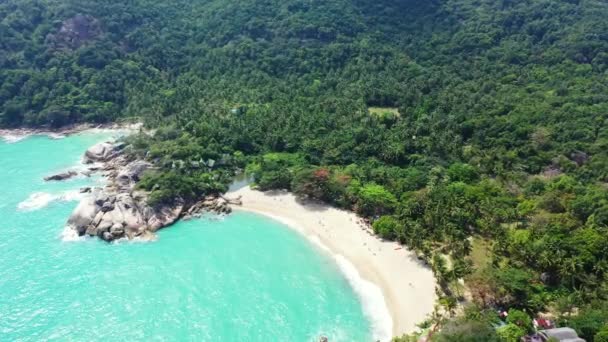 Øya Dagtid Den Dominikanske Republikks Eksotiske Natur Karibia – stockvideo