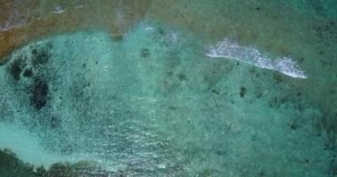 Dalgalanan denizin sakin bir geçmişi var. Barbados, Karayiplerin güneşli doğası.