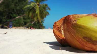 Sabahları güneşli kıyı şeridi. Endonezya, Bali 'de tropikal tatilin tadını çıkarıyorum..