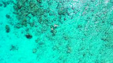 Şnorkelle yüzen turistlerin en iyi manzarası. Barbados, Karayipler 'e egzotik yolculuk. 
