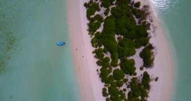 Yeşil ağaçlı bir ada manzarası. Endonezya 'ya yaz gezisi.