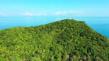 Ada manzaralı. Endonezya 'nın Bali Doğası.