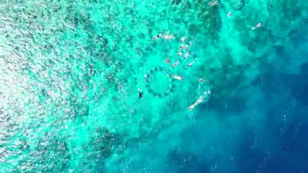 Blick Von Oben Auf Menschen Die Türkisfarbenen Wasser Schnorcheln Sommerszene — Stockvideo