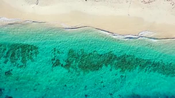 Drone Volando Sobre Aguas Turquesas Poco Profundas Viaje Verano Maldivas — Vídeos de Stock