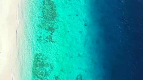 Vista Aérea Paisagem Tropical Mar Azul Austrália Oceania — Vídeo de Stock