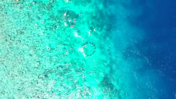 Snorkeling People Relaxing Turquoise Sea Escena Natural Fiyi Oceanía — Vídeo de stock