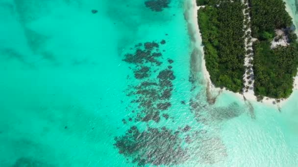 Draufsicht Auf Insel Mit Grünen Bäumen Sommerliche Meereslandschaft Von Bali — Stockvideo