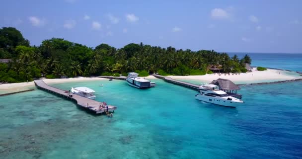 Muelles Madera Junto Mar Naturaleza Tropical Bahamas Caribe — Vídeos de Stock