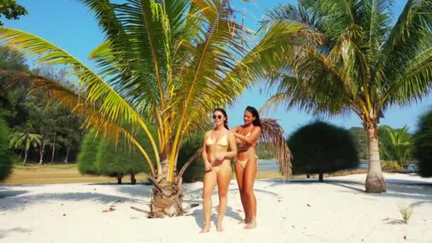 Két fiatal barátnő bikiniben áll a homokos tengerparton a pálmafa alatt és napozik. Egy lány fodrászkodik a barátnőjével. Gyönyörű nők pihennek trópusi üdülőhelyen    