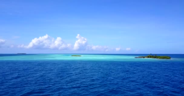 明るい海辺の自然背景 ボラのエキゾチックな自然 フランス領ポリネシア — ストック動画